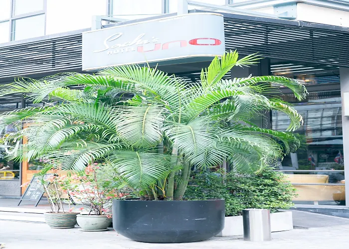 Hotel Sachas Uno Asoke Sukhumvit Bangkok